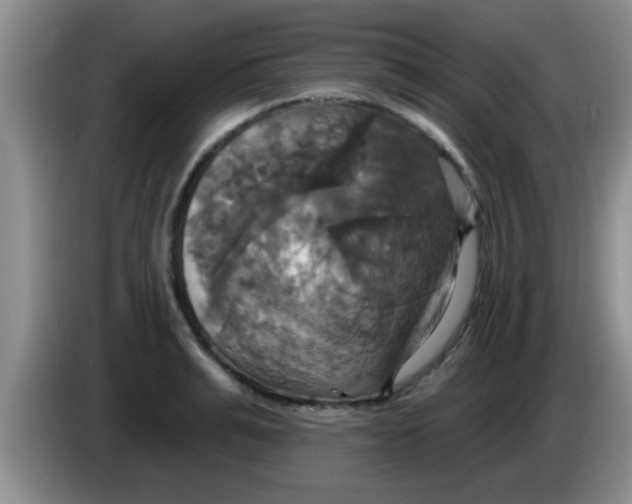 X0000084020991200703091944