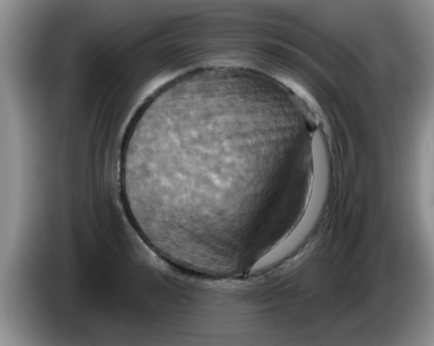 X0000084020992200703091944