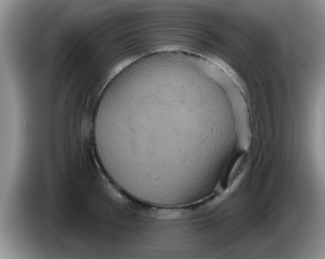 X0000084020993200703091944