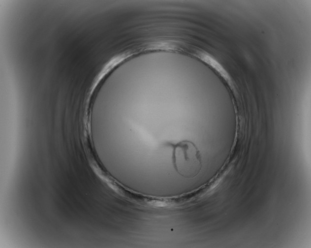 X0000084020994200703091944