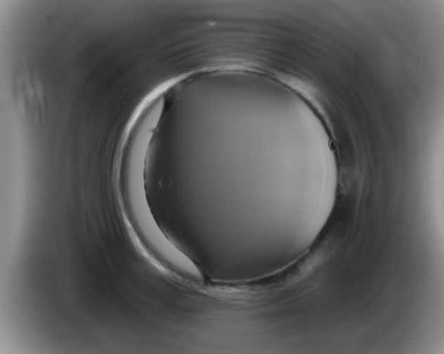 X0000084020995200703091944