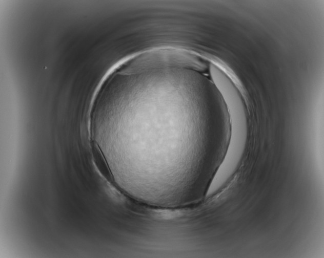 X0000084020996200703091944