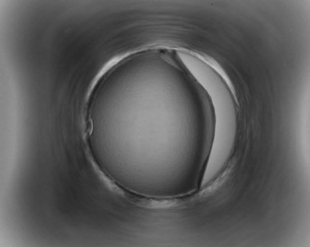 X0000084020997200703091944