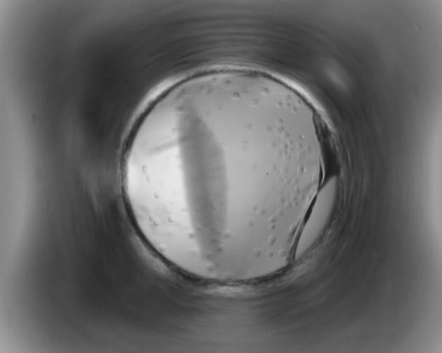 X0000084020998200703091944