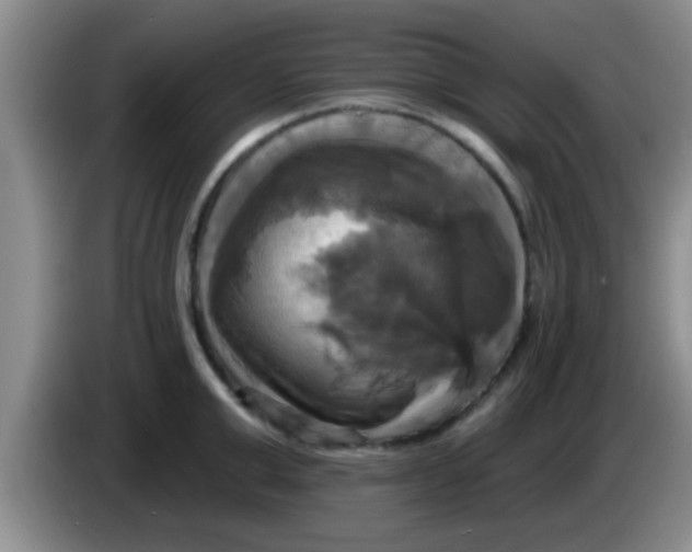 X0000084020999200703091944