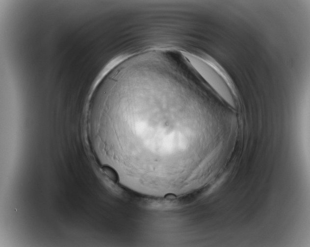 X0000084021002200703091944