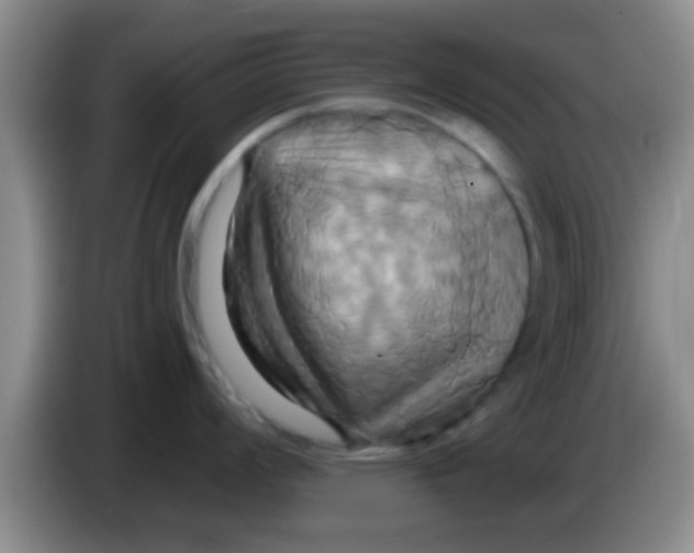 X0000084021008200703091944