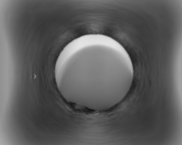 X0000084021009200703091943