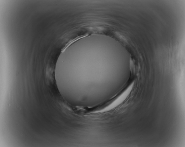 X0000084021010200703091943