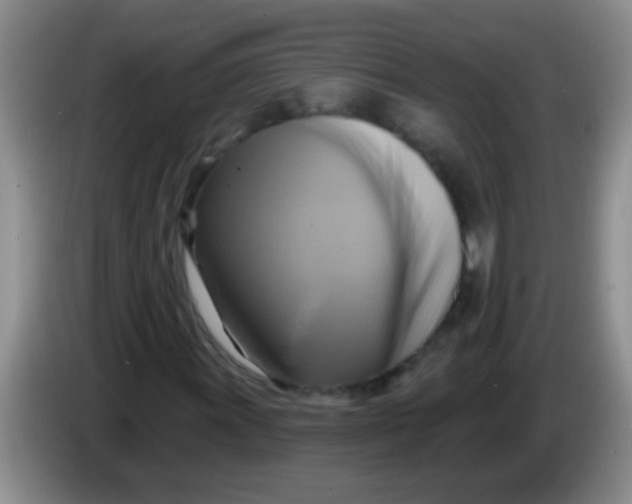 X0000084021011200703091943