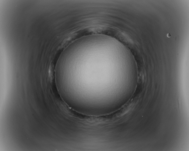 X0000084021012200703091943