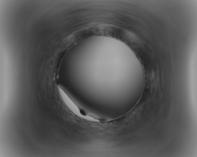 X0000084021013200703091943