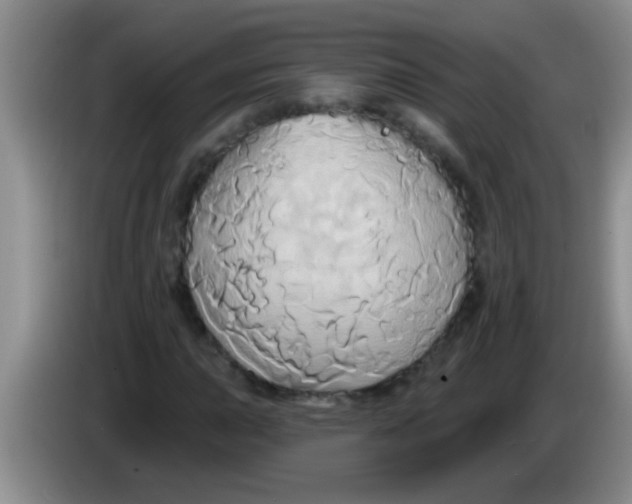 X0000084021015200703091943