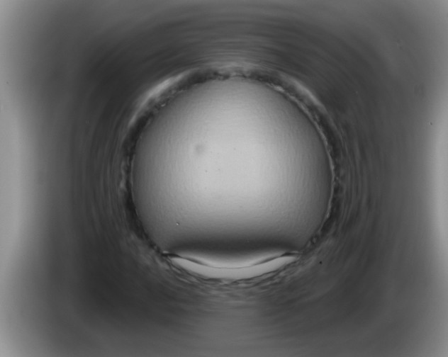 X0000084021016200703091943