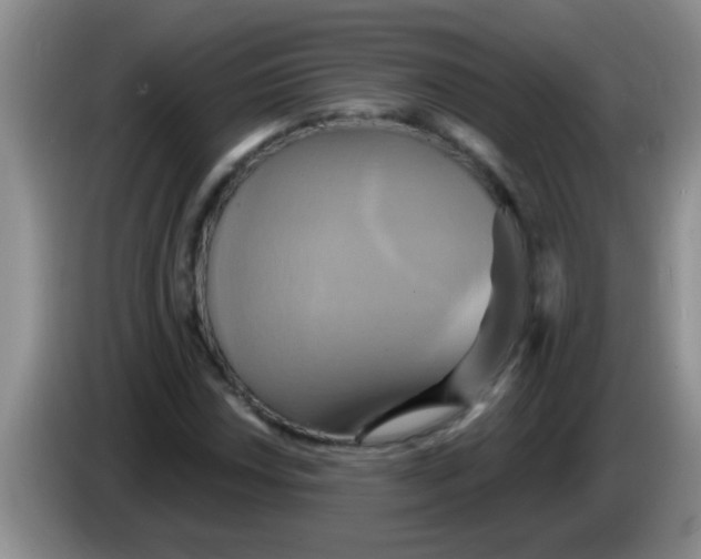 X0000084021018200703091943