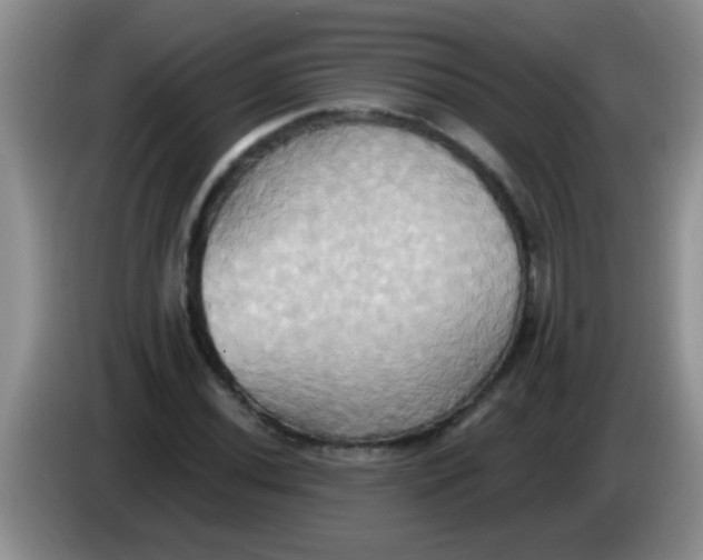 X0000084021020200703091943