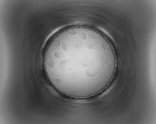 X0000084021021200703091943