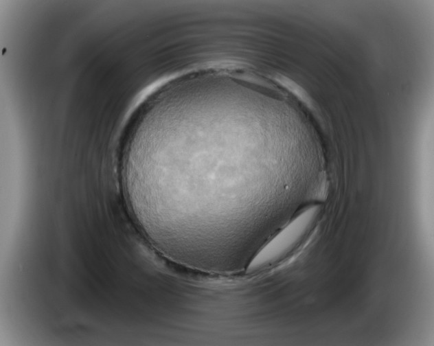 X0000084021022200703091943