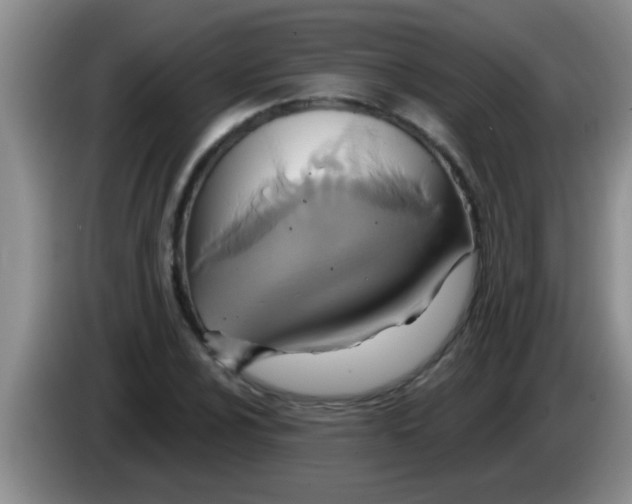 X0000084021024200703091943