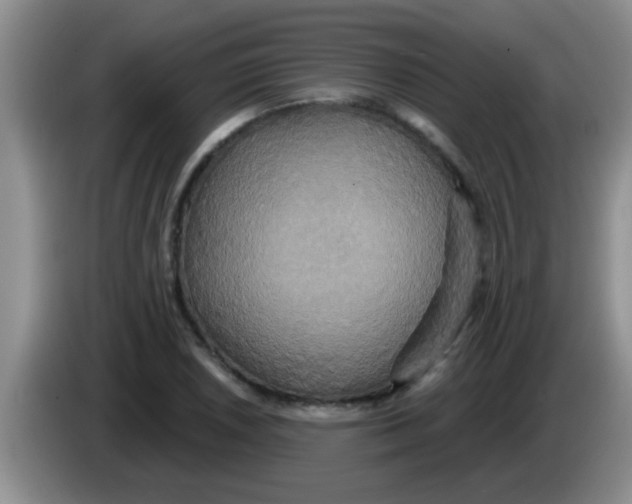 X0000084021026200703091943