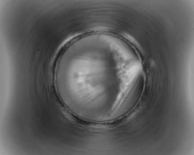 X0000084021027200703091943