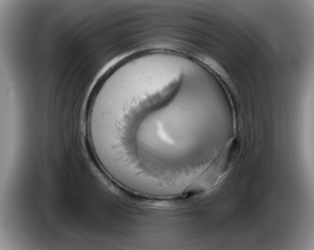 X0000084021028200703091944