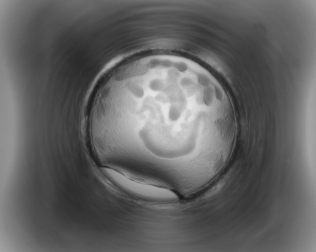 X0000084021029200703091944