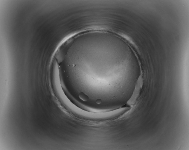 X0000084021030200703091944