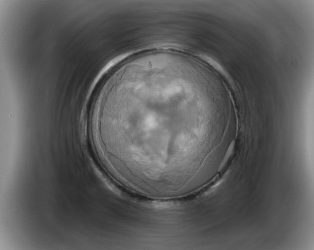 X0000084021032200703091944