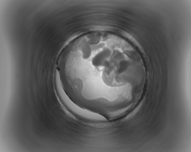 X0000084021033200703091944