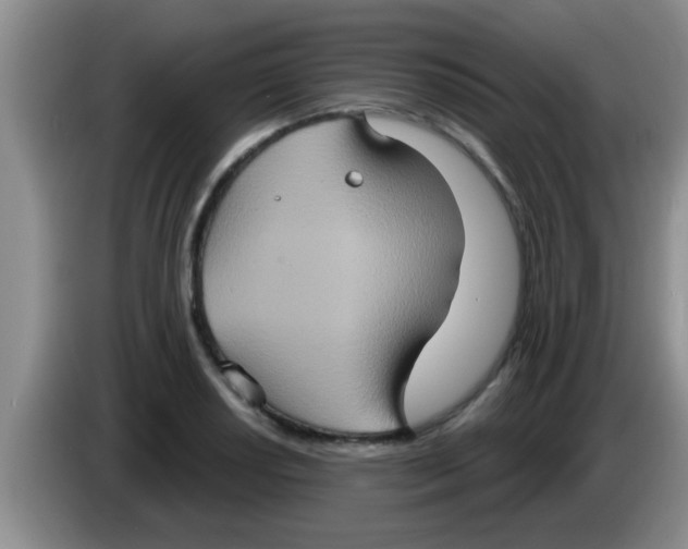 X0000084021034200703091944