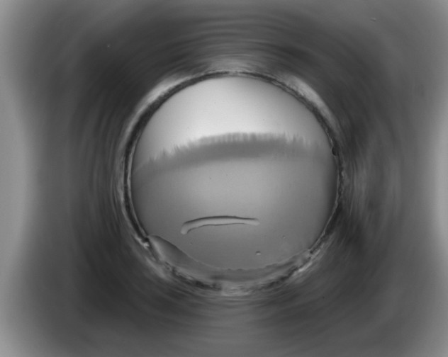 X0000084021035200703091944