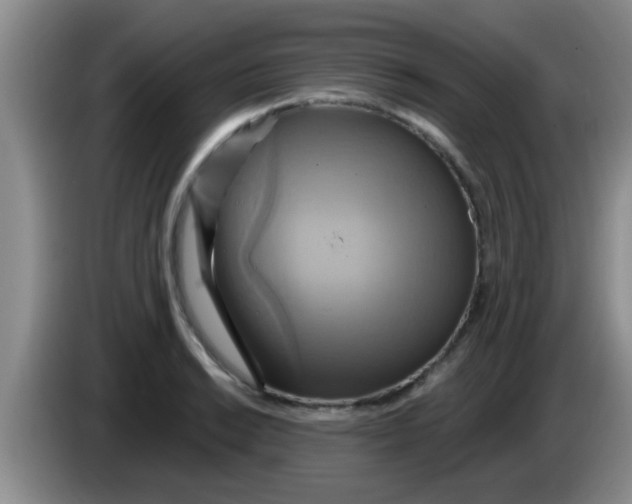 X0000084021038200703091944