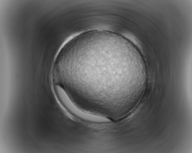 X0000084021040200703091944