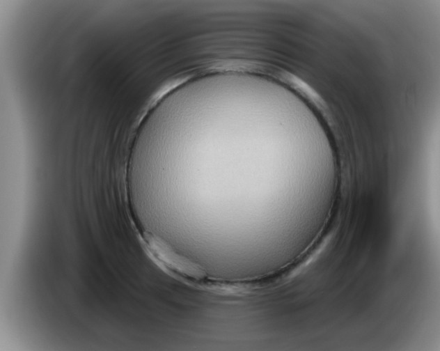 X0000084021041200703091944