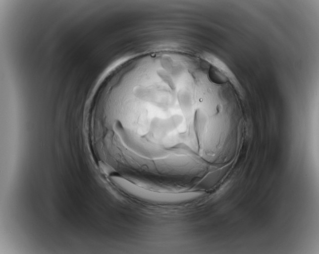 X0000084021043200703091944