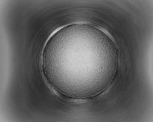 X0000084021044200703091944