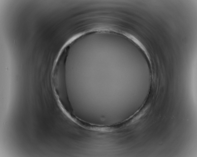 X0000084021045200703091944