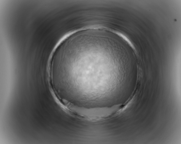 X0000084021046200703091944