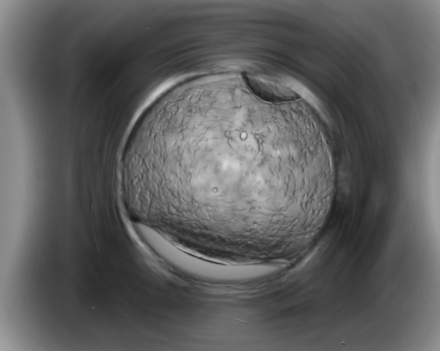 X0000084021047200703091944