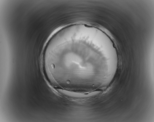 X0000084021048200703091944