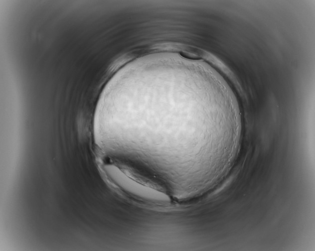 X0000084021049200703091944