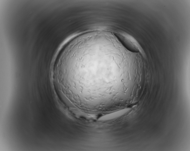 X0000084021051200703091944