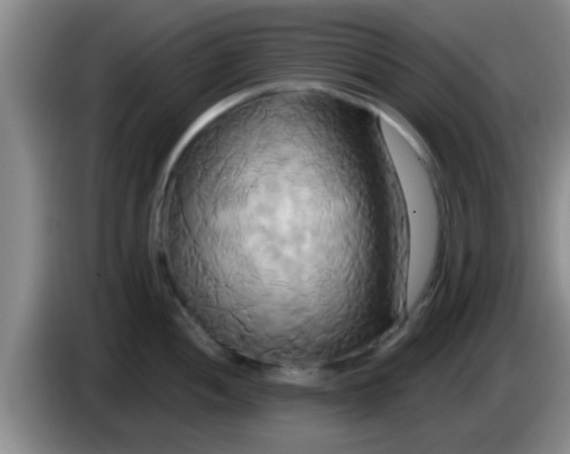 X0000084021052200703091944