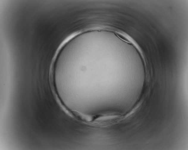 X0000084021053200703091944