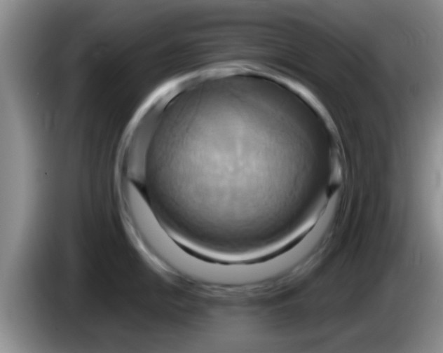 X0000084021054200703091944