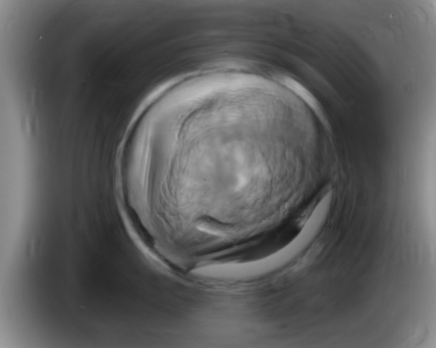 X0000084021055200703091944