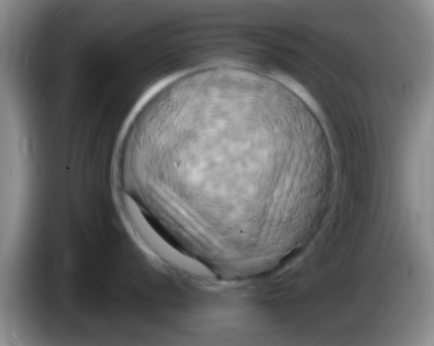 X0000084021056200703091944