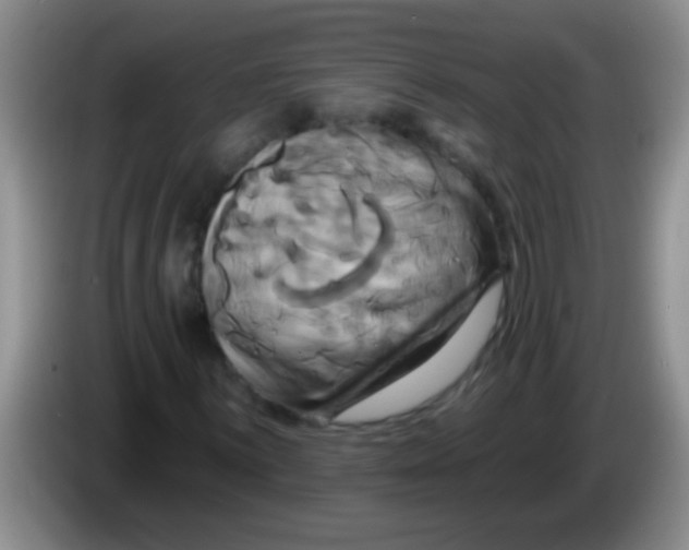 X0000084021059200703091943