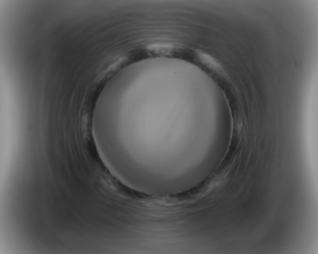 X0000084021060200703091943